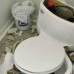 Exploding toilet